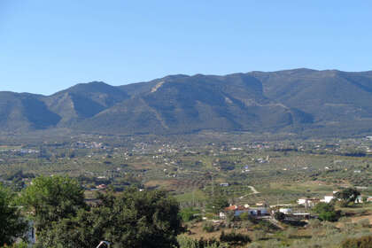 牧场 出售 进入 Alhaurín de la Torre, Málaga. 