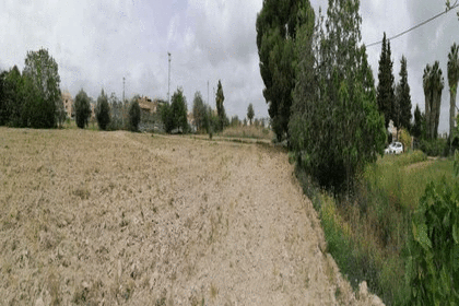 Rural/Agricultural land for sale in Murcia. 