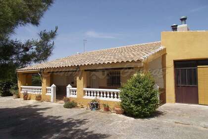 Haus zu verkaufen in Yecla, Murcia. 